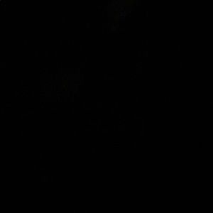 Meet your Posher, Ferrin